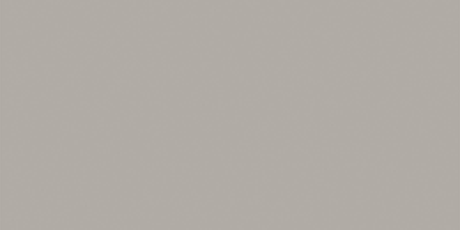 Alma Ceramica Спектор Gfu60120Spr70R 60x120 см, поверхность матовая