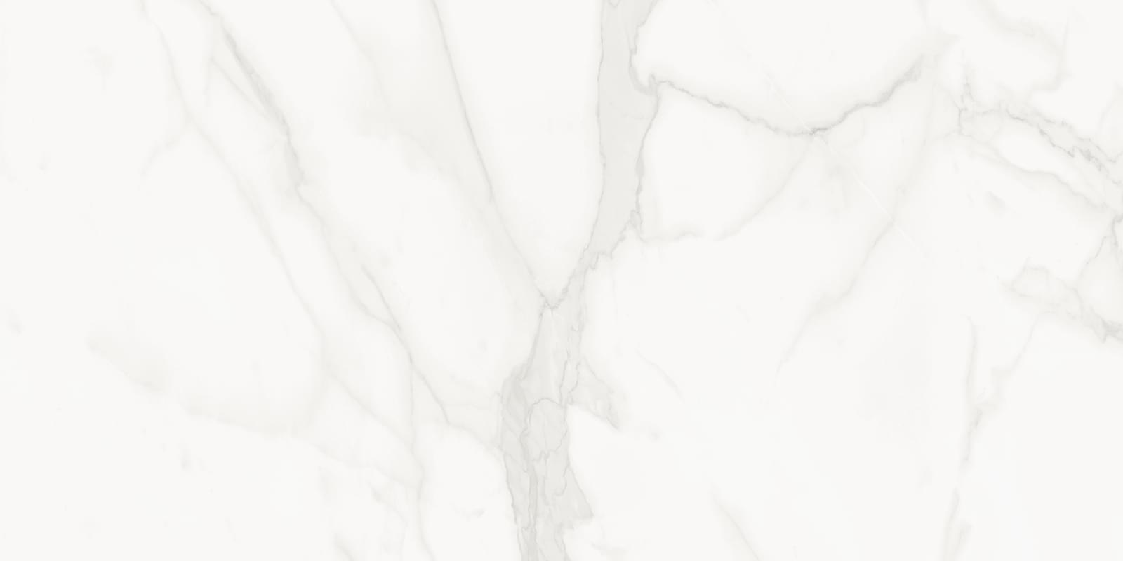 Alma Ceramica Стихия Статуарио 60x120 см, поверхность полированная