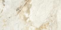 Плитка Alpas Euro Premium Marble Breccia Pol 60x120 см, поверхность полированная