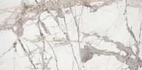 Плитка Alpas Euro Premium Marble Ice Burg Pol 6 mm 60x120 см, поверхность полированная