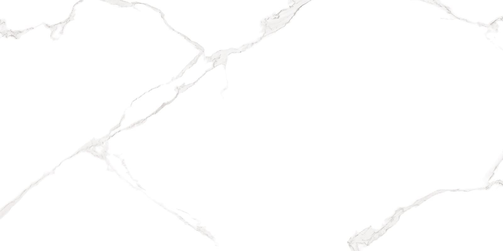 Altacera Elemento Bianco Carrara 25x50