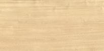 Плитка Altacera Triangle Wood 24.9x50 см, поверхность глянец