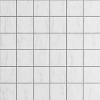 Плитка Ametis Supreme Мозаика Sm02 30x30 см, поверхность микс