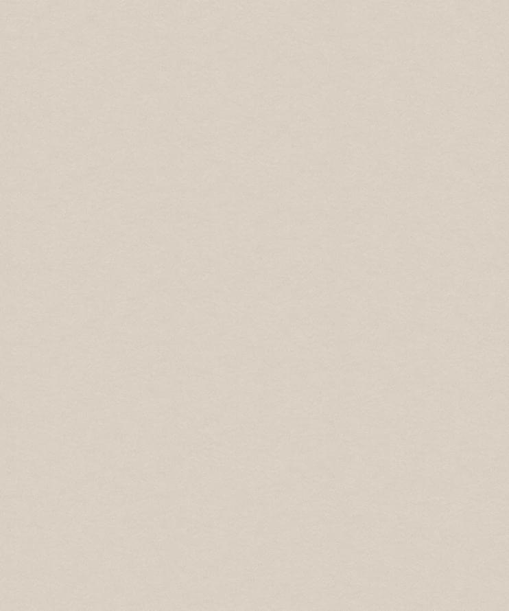 Andrea Grifoni Palazzo Ducale 7016-5 10.05м x 106см поверхность матовая