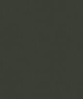 Andrea Grifoni Palazzo Ducale 7018-11 10.05м x 106см поверхность матовая