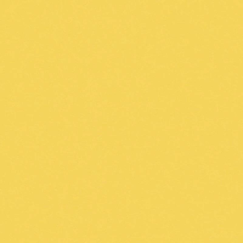 Andrea Rossi Arlequin 54305-8 10.05м x 106см поверхность матовая