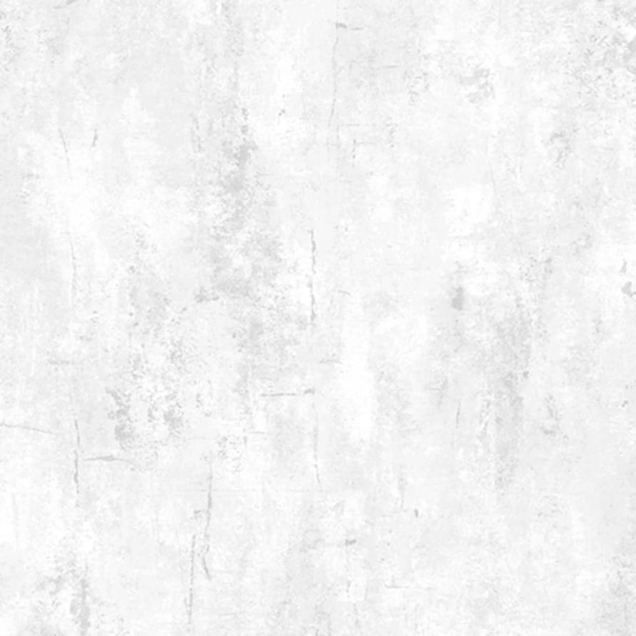 Andrea Rossi Barbana 54281-2 10.05м x 106см поверхность матовая