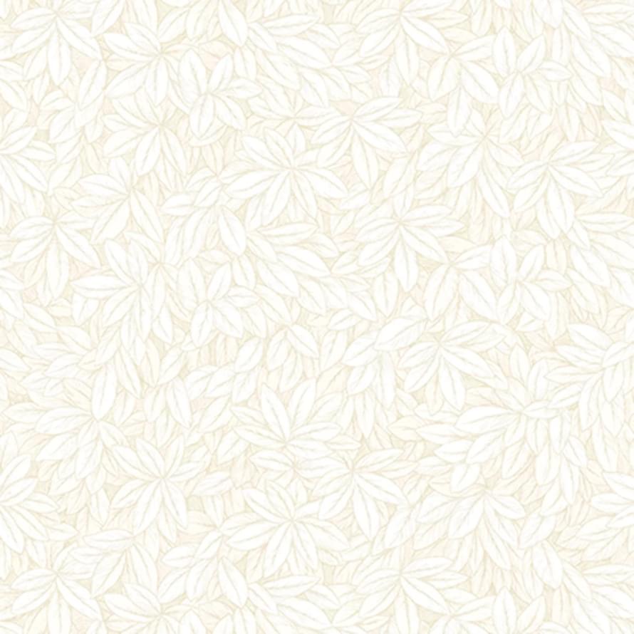 Andrea Rossi Barbana 54295-1 10.05м x 106см поверхность матовая