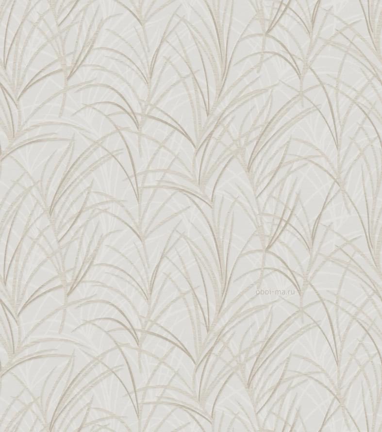 Andrea Rossi Berggi 54439-4 10.05м x 106см поверхность матовая