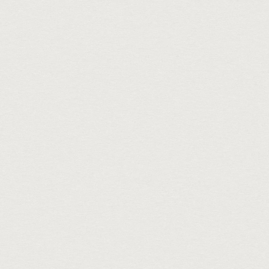 Andrea Rossi Berggi 54443-2 10.05м x 106см поверхность матовая