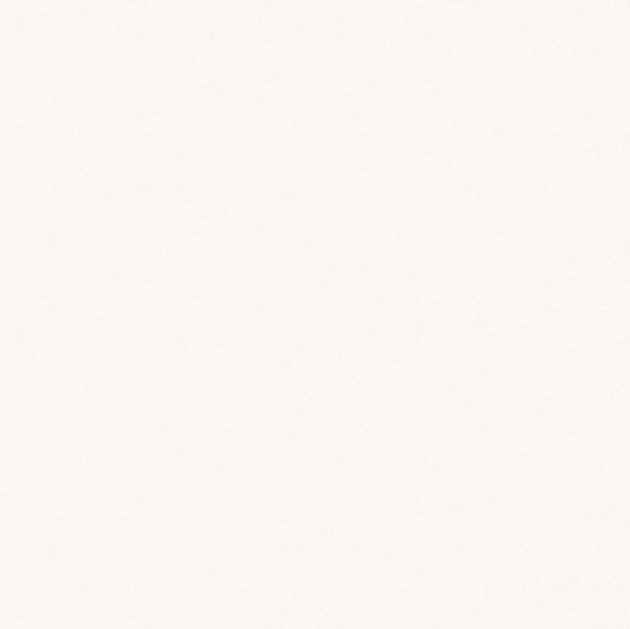 Andrea Rossi Berggi 54445-2 10.05м x 106см поверхность матовая