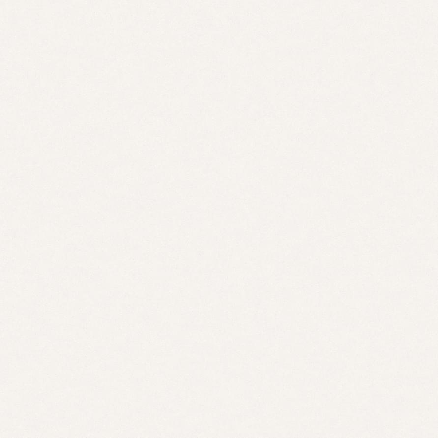 Andrea Rossi Berggi 54445-3 10.05м x 106см поверхность матовая