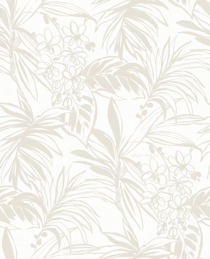 Andrea Rossi Berggi 54446-2 10.05м x 106см поверхность матовая