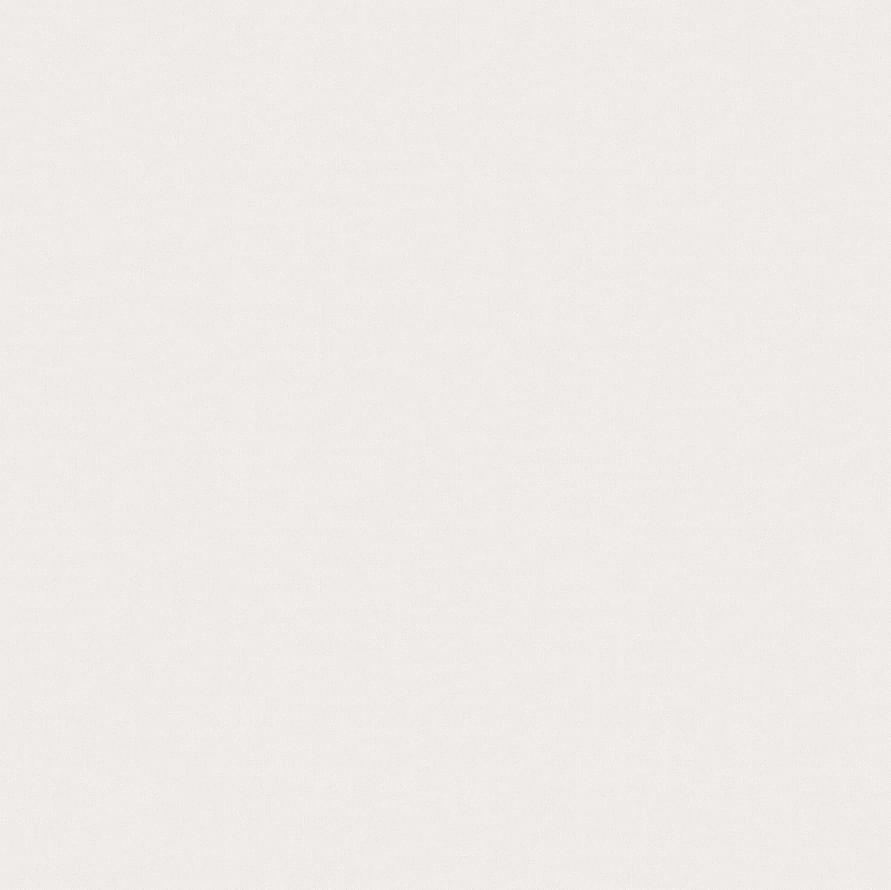 Andrea Rossi Berggi 54448-2 10.05м x 106см поверхность матовая