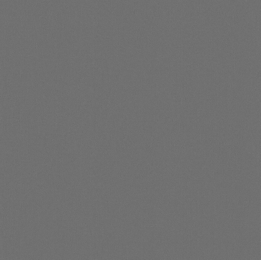 Andrea Rossi Berggi 54448-9 10.05м x 106см поверхность матовая