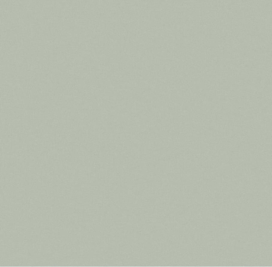 Andrea Rossi Berggi 54452-8 10.05м x 106см поверхность матовая