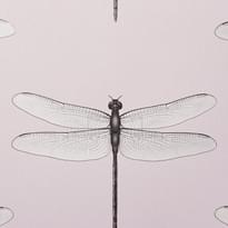 Andrea Rossi Cavolli 54426-3 10.05м x 106см поверхность матовая