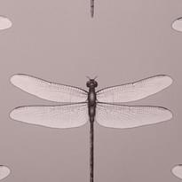 Andrea Rossi Cavolli 54426-4 10.05м x 106см поверхность матовая