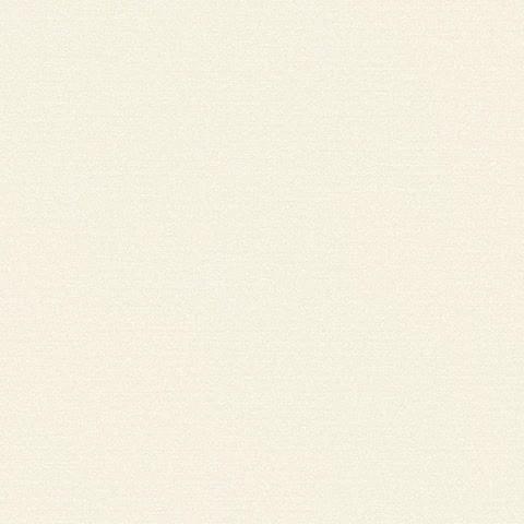 Andrea Rossi Gallinara 54308-1 10.05м x 106см поверхность матовая