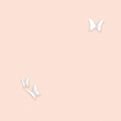 Andrea Rossi Gallinara 54309-4 10.05м x 106см поверхность матовая