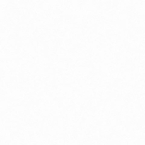 Andrea Rossi Gallinara 54310-1 10.05м x 106см поверхность матовая