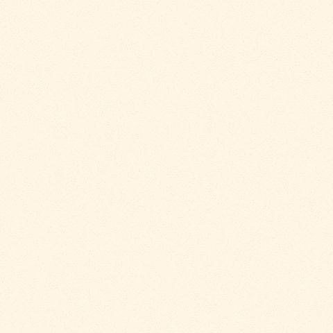 Andrea Rossi Gallinara 54310-3 10.05м x 106см поверхность матовая