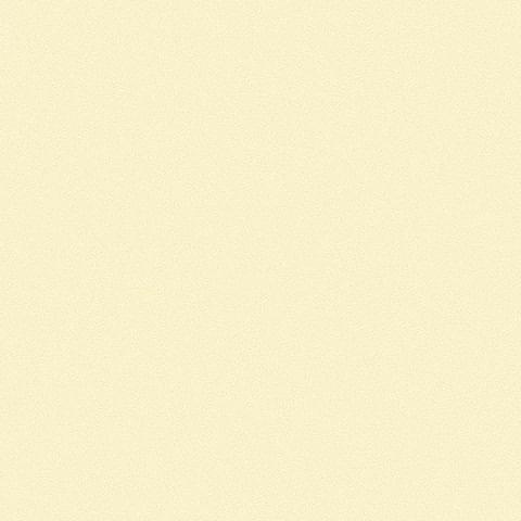 Andrea Rossi Gallinara 54310-4 10.05м x 106см поверхность матовая