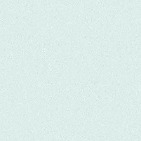 Andrea Rossi Gallinara 54310-5 10.05м x 106см поверхность матовая