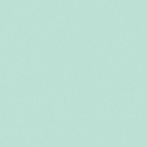 Andrea Rossi Gallinara 54310-8 10.05м x 106см поверхность матовая