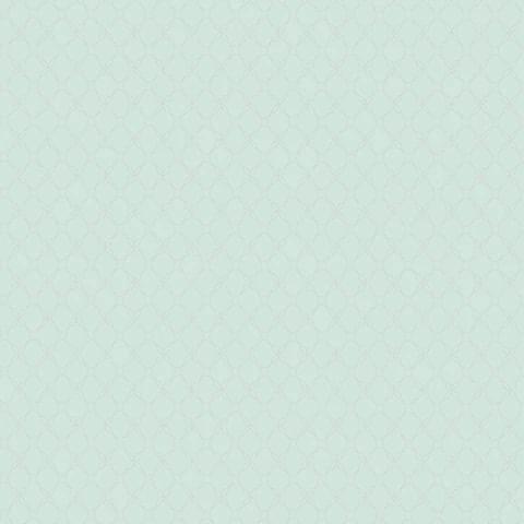 Andrea Rossi Gallinara 54315-5 10.05м x 106см поверхность матовая