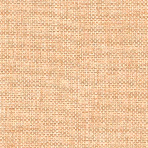 Andrea Rossi Gallinara 54317-5 10.05м x 106см поверхность матовая