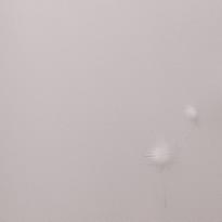 Andrea Rossi Gavi 54368-3 10.05м x 106см поверхность матовая