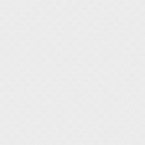 Andrea Rossi Nisida 54326-3 10.05м x 106см поверхность матовая