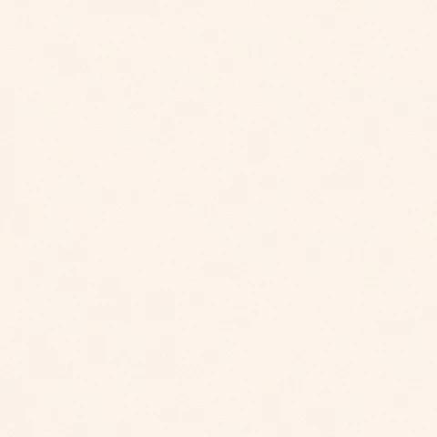 Andrea Rossi Nisida 54329-2 10.05м x 106см поверхность матовая