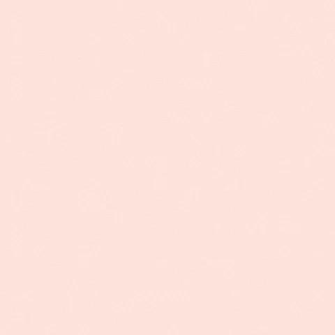 Andrea Rossi Nisida 54329-3 10.05м x 106см поверхность матовая