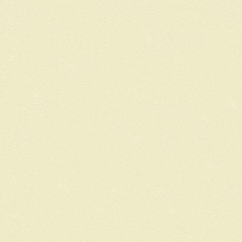 Andrea Rossi Nisida 54329-6 10.05м x 106см поверхность матовая