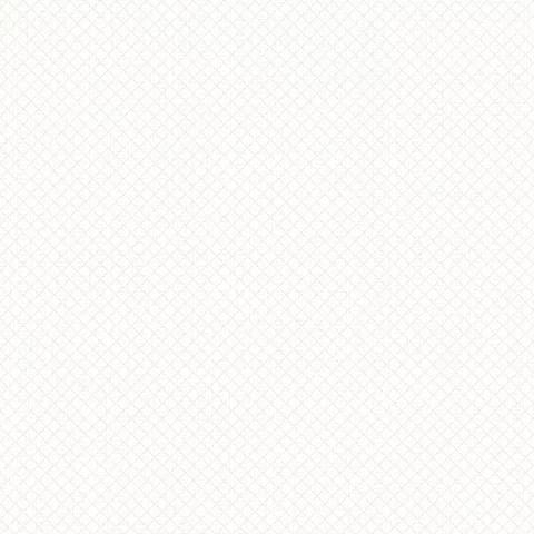 Andrea Rossi Nisida 54331-1 10.05м x 106см поверхность матовая