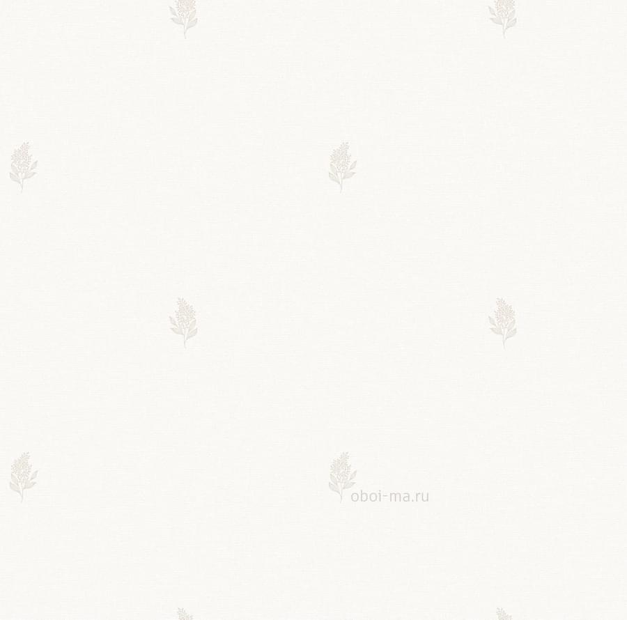 Andrea Rossi Palmaria 54462-4 10.05м x 106см поверхность матовая