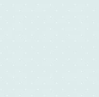 Andrea Rossi Spectrum Box 54454-12 10.05м x 106см поверхность матовая