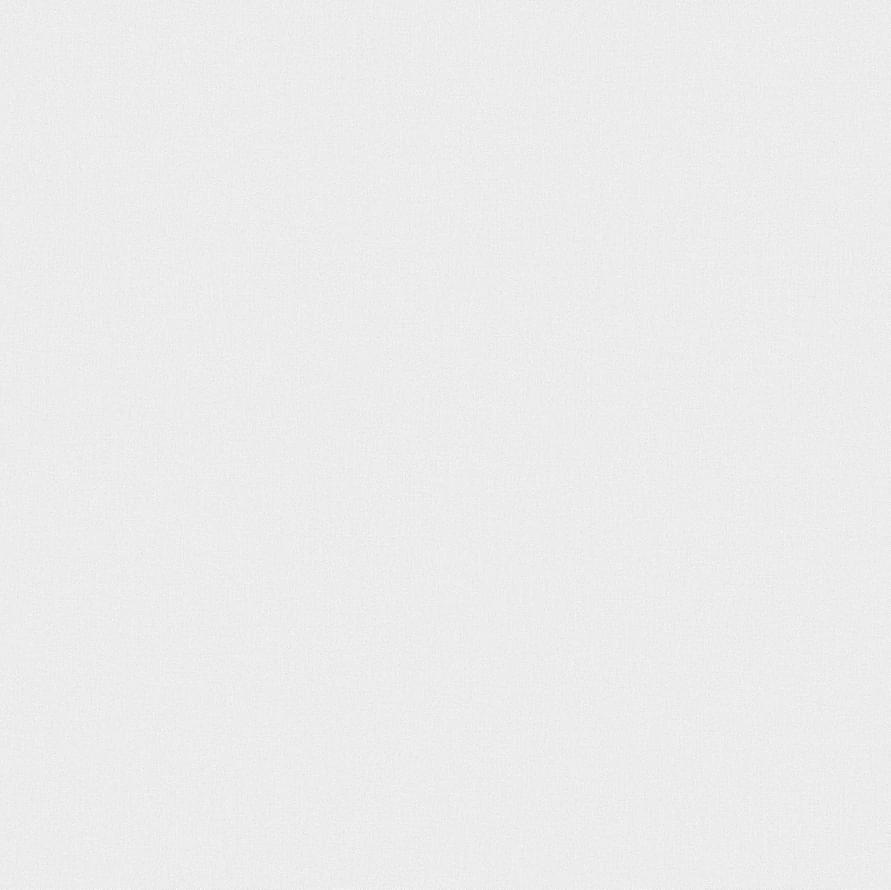 Andrea Rossi Spectrum Box 54455-6 10.05м x 106см поверхность матовая