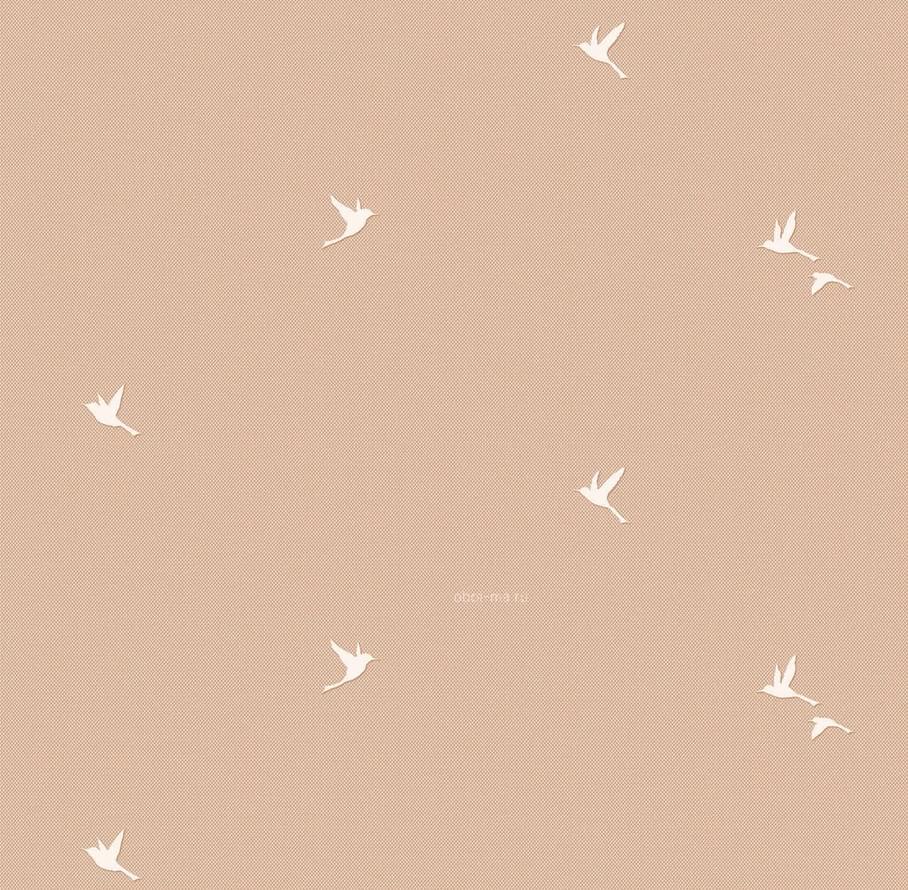 Andrea Rossi Spectrum Box 54458-13 10.05м x 106см поверхность матовая