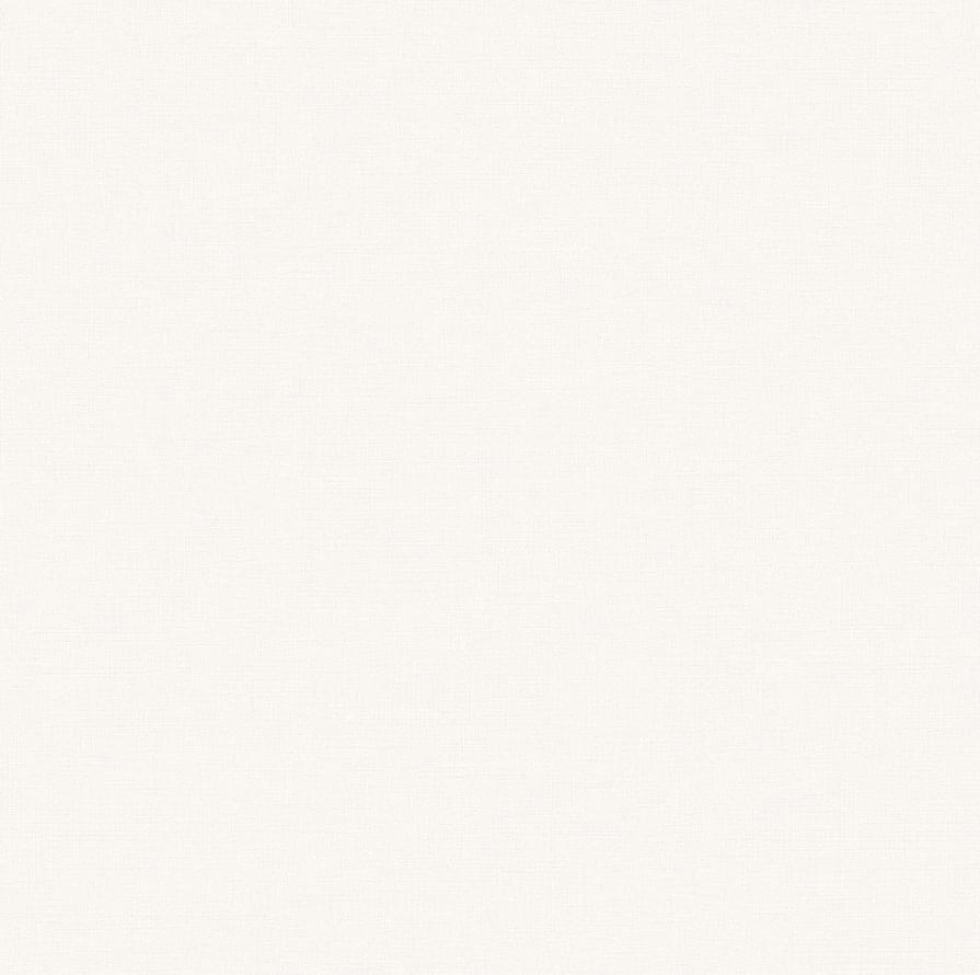 Andrea Rossi Spectrum Box 54459-2 10.05м x 106см поверхность матовая