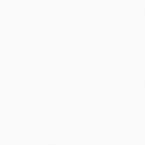 Andrea Rossi Spectrum Box 54459-6 10.05м x 106см поверхность матовая