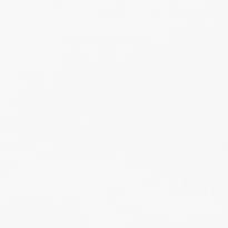 Andrea Rossi Spectrum Max 54359-2 10.05м x 106см поверхность матовая