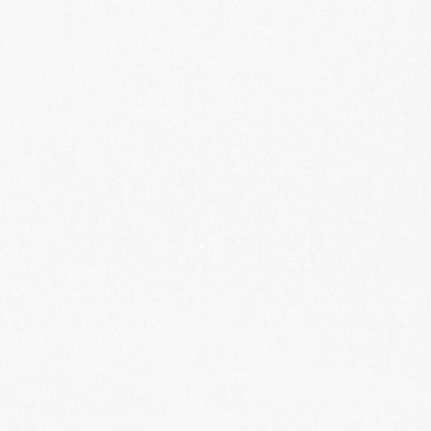 Andrea Rossi Spectrum Max 54359-2 10.05м x 106см поверхность матовая