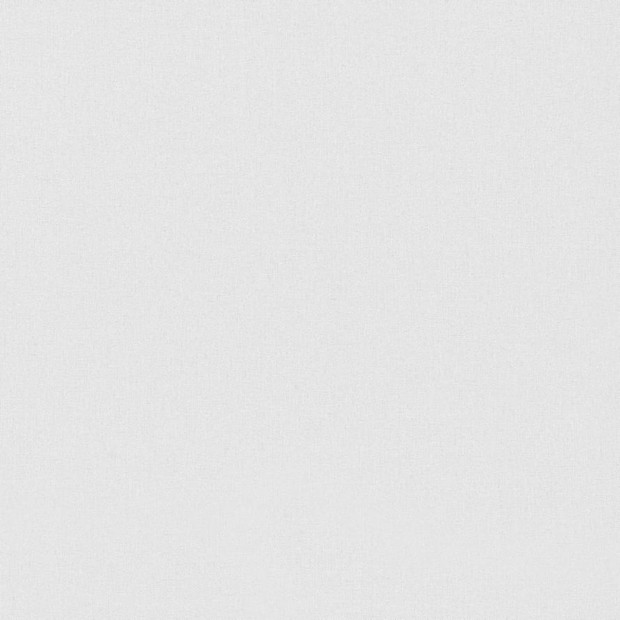 Andrea Rossi Spectrum Max 54359-4 10.05м x 106см поверхность матовая