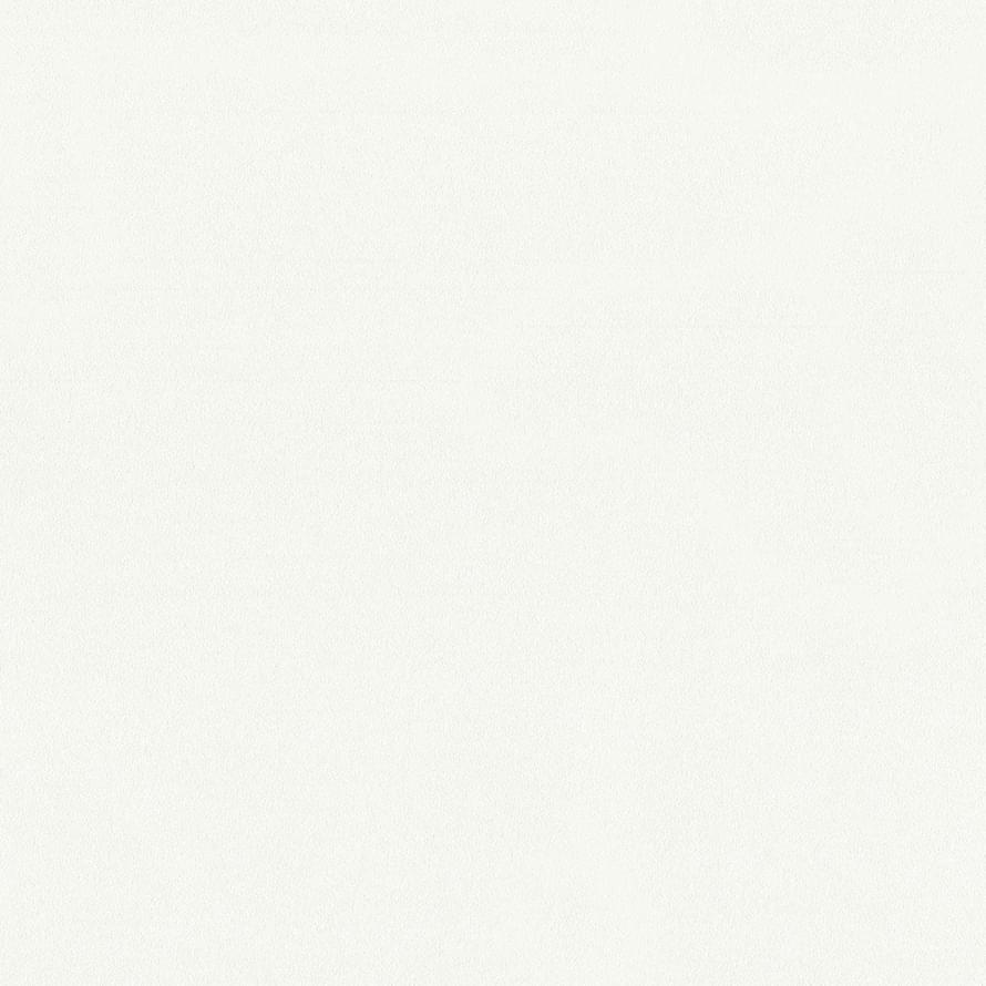 Andrea Rossi Spectrum Max 54361-2 10.05м x 106см поверхность матовая