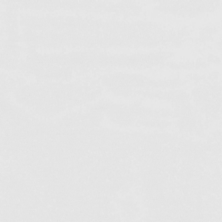 Andrea Rossi Spectrum Max 54361-4 10.05м x 106см поверхность матовая