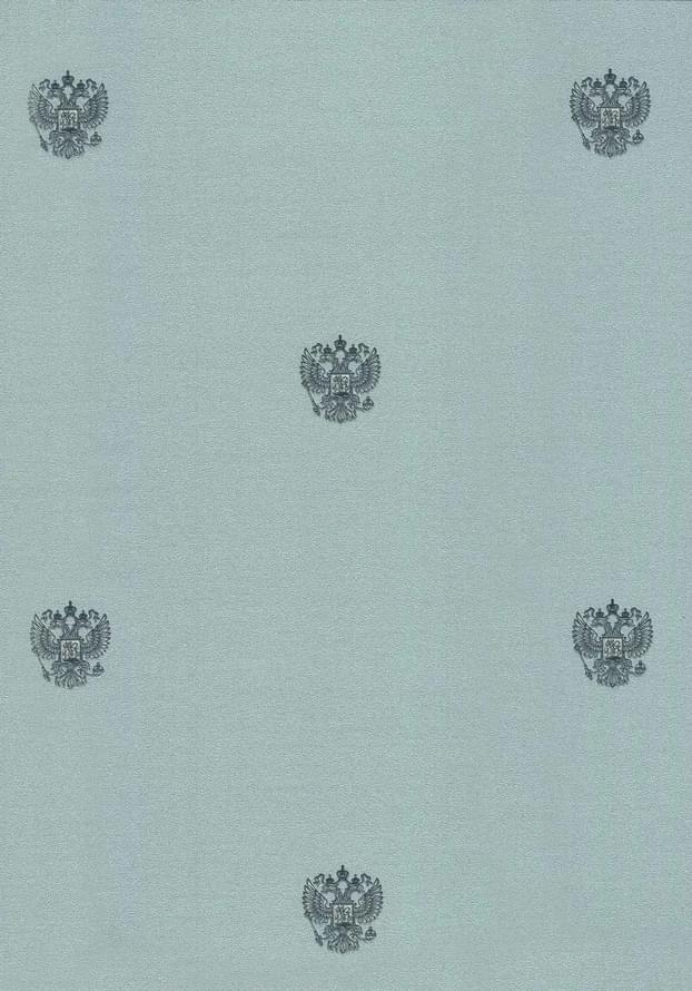 Andrea Rossi Spectrum Max 54362-5 10.05м x 106см поверхность матовая