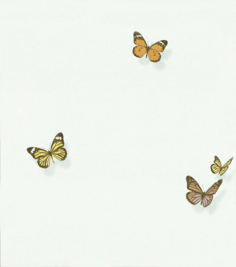 Andrea Rossi Spectrum Max 54363-4 10.05м x 106см поверхность матовая